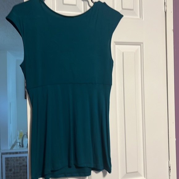 Gorgeous Ann Taylor Shirt/Blouse! Hot! Hot! - Picture 6 of 7